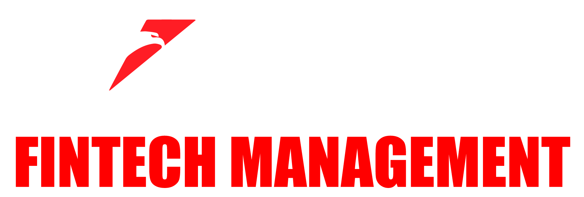 fintech management